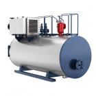 WNS系列燃油/燃气热水锅炉低氮环保 [ ]
